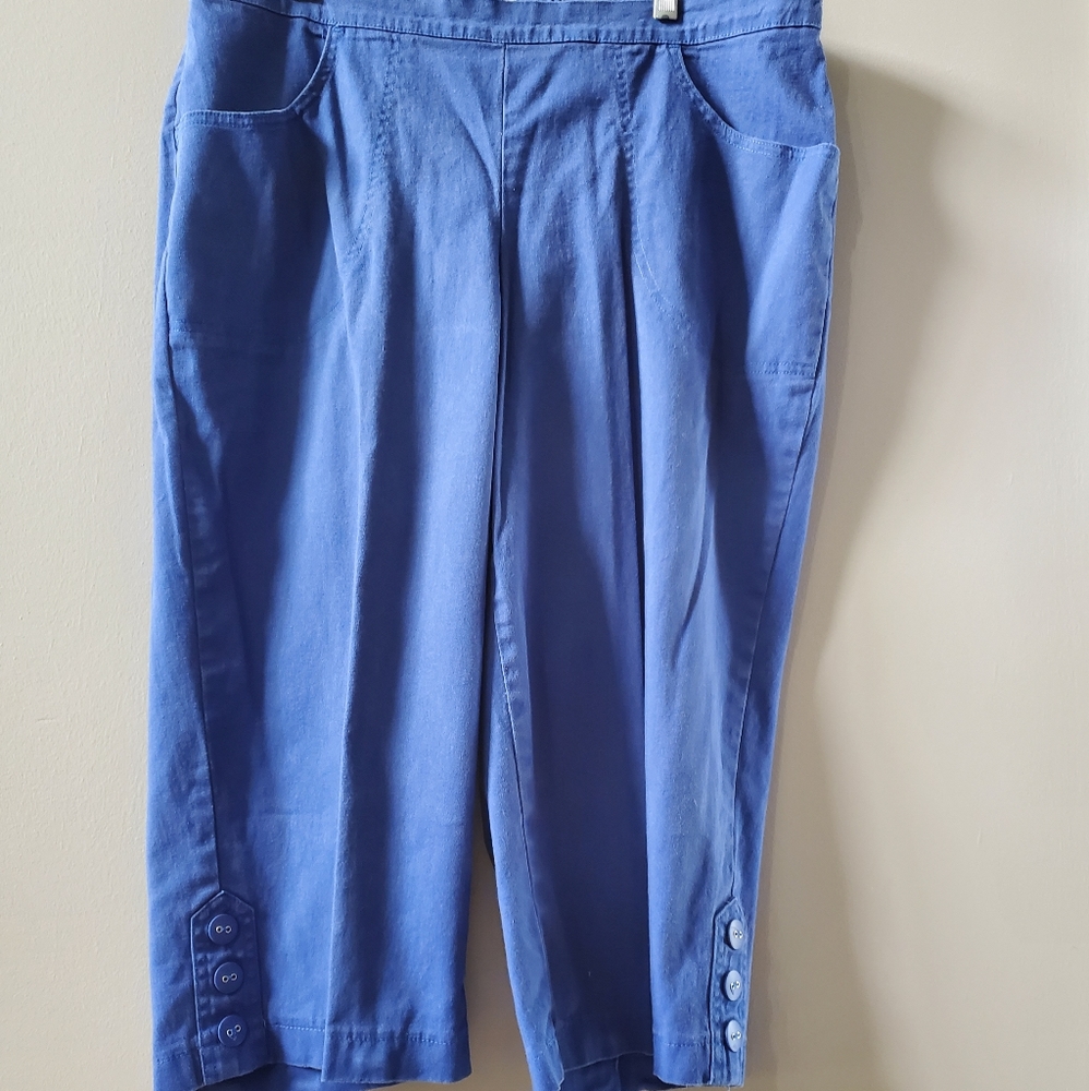 Level eight preowned below the knee shorts